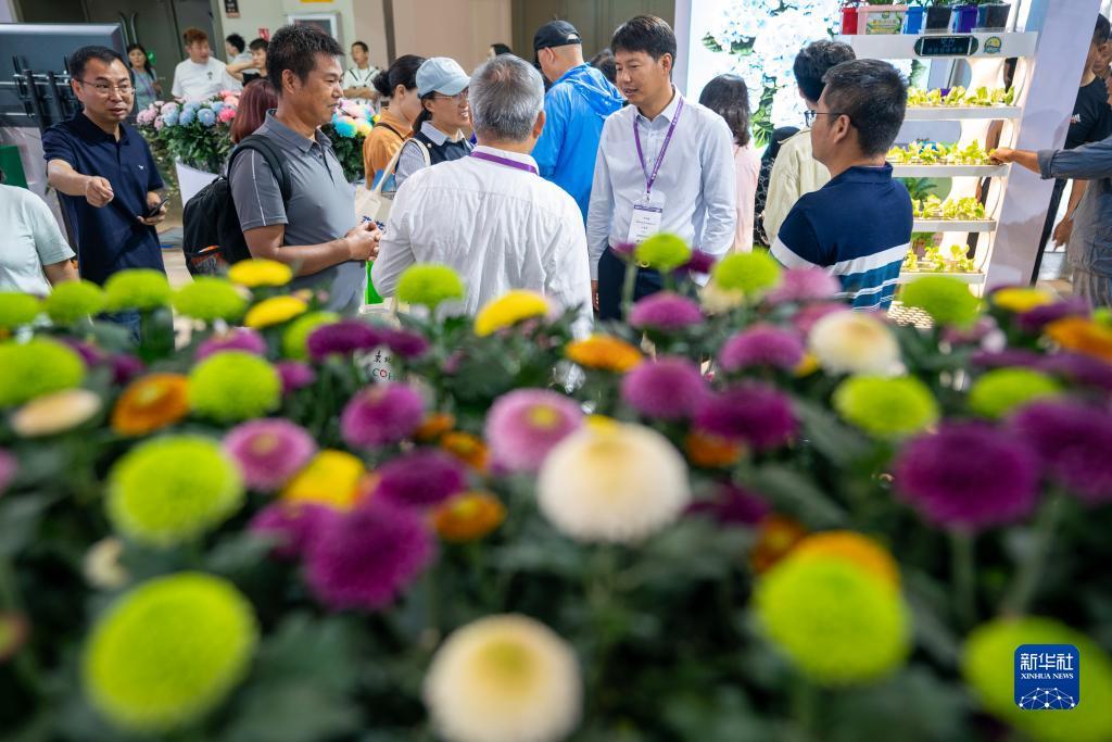 九五至尊游戏平台网址